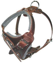 Dog Body Harness for Cane Corso-BEST Leather Dog Harness